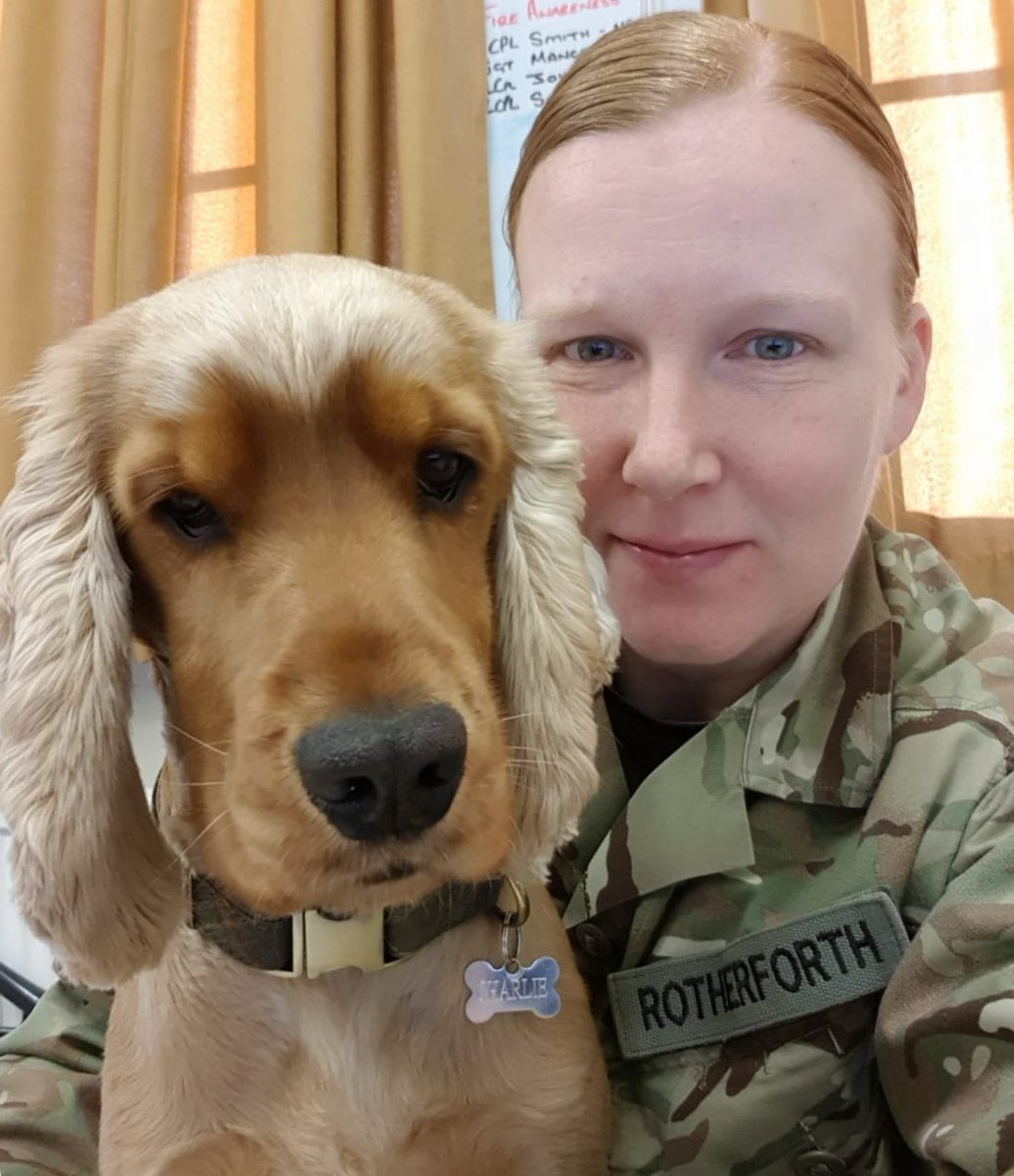 British Army 🇬🇧 tweet media