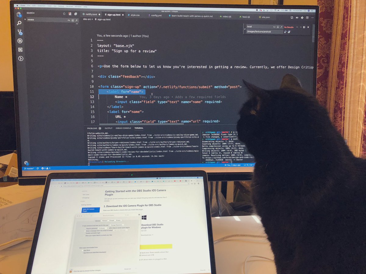 brob's tweet image. She was unamused by my code apparently... in fairness, she’s very judgemental in general #catcoder
