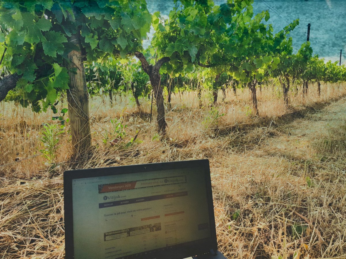 Vous l'attendiez, le voilà !
 Le compte Instagram Vitijob est arrivé !!!

 instagram.com/vitijob/

#instagram #vitijob #emploi #followus