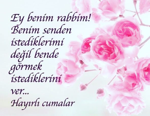 GrupMeva's tweet photo. Selamün aleyküm kıymetli kardeşler 

Cuma Bayramımız bizlere hayırlar getirsin. 

#hayirlicumalar 
#Hayırlı_Cumalar https://t.co/hThYViG4ai