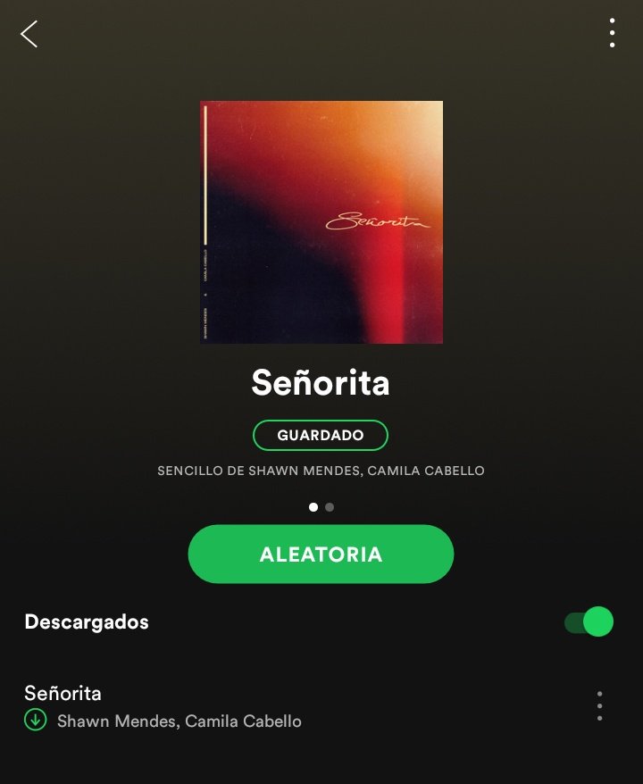 bestpicofshawn's tweet photo. "The Dream Duo"  it's a good way to start our friday! Go to play #Señorita by @ShawnMendes &amp; @Camila_Cabello https://t.co/MhQzBySdwD