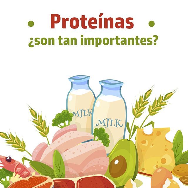 Loadingbodymind's tweet photo. ¿Sabes para qué sirve la #proteina? En nuestro blog descubrirás los aspectos más importantes: funciones, alimentos ricos en proteína, suplementación…

#loadingbodyandmind #fitness  #dieta #whey #nutriciondeportiva #sportsnutrition #endurance #suplementos#protein #bodybuilding https://t.co/mCewhMIv7h