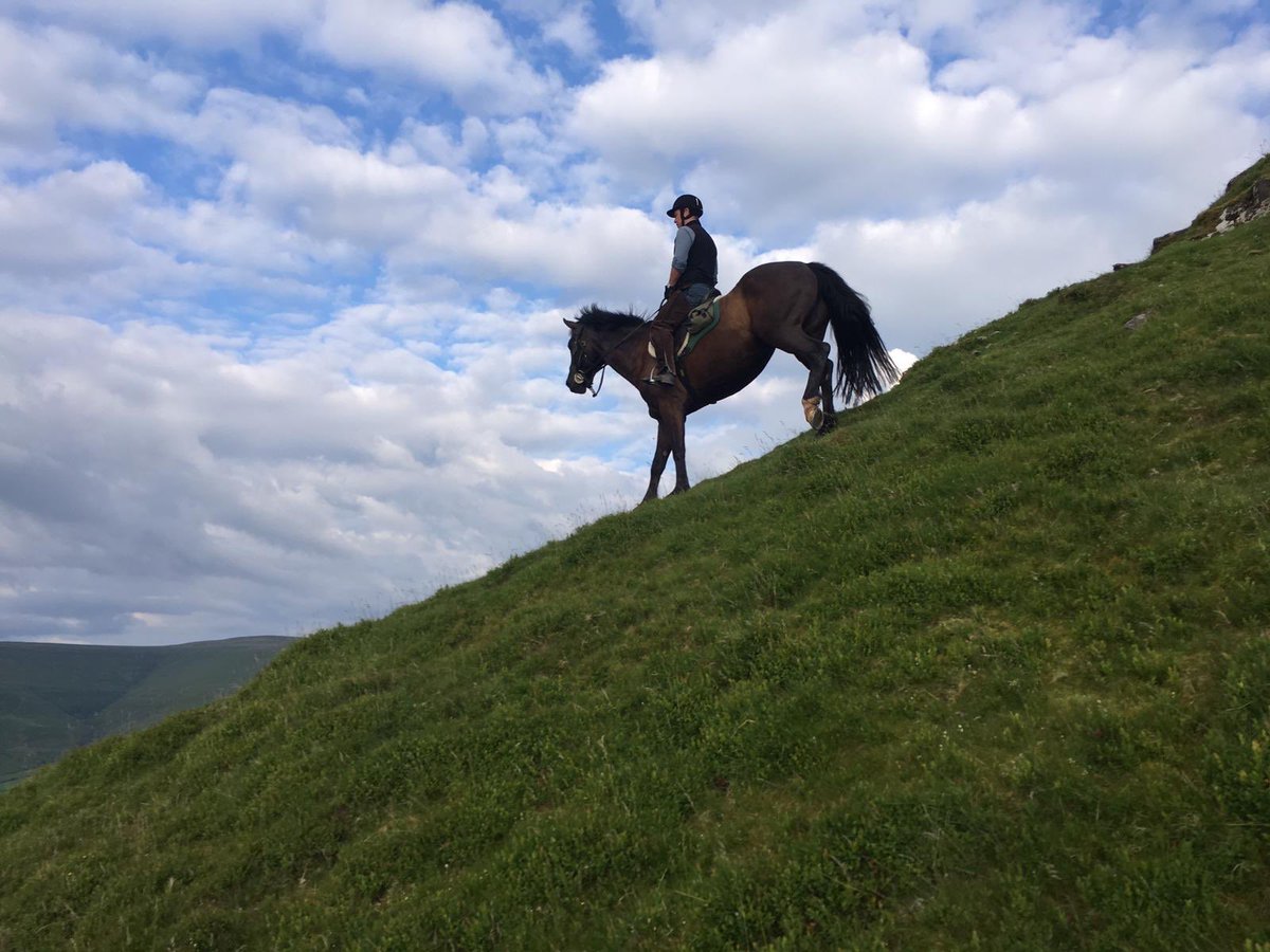 Diolch Paul of ⁦⁦<a href="/transwales/">Horse Riding Holidays</a>⁩ for another spectacular evening ride. Even the radical descent... handy having a top trekking company next door. #Wales #Cymru looking beautiful. ⁦<a href="/visitwales/">Visit Wales 🏴󠁧󠁢󠁷󠁬󠁳󠁿</a>⁩