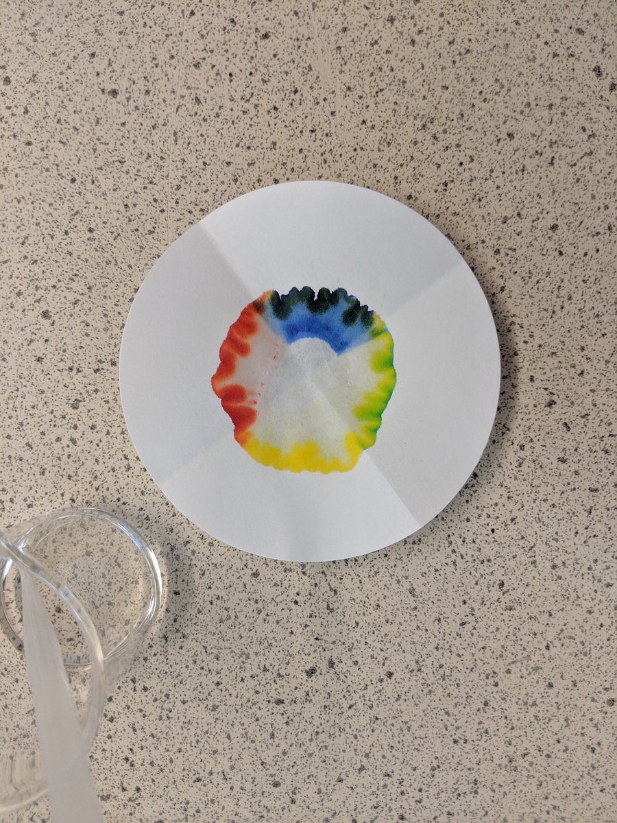 HSLC_Science's tweet image. Some more pictures (2)