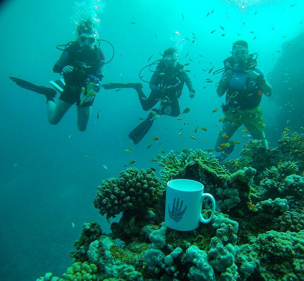 davemarinebio's tweet photo. Just back from the @UofGlasgow expedition to #Egypt where the students are surveying mesophotic coral ecosystem fishes, studying fish behaviour and assessing coral biodiversity (Instagram land.sea.foam ). https://t.co/qn1PUARsdW