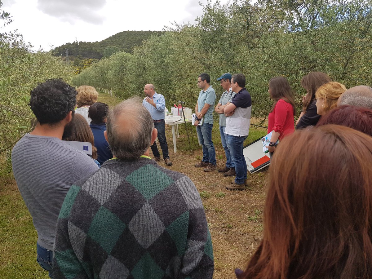 MamenMarquez4's tweet photo. Comienza la demostración para evitar la contaminación por escorrentía #Toppswater @Julioromvaz @aepla_asoc @AceitedeLaRioja @lariojaorg https://t.co/uRFw733TKx