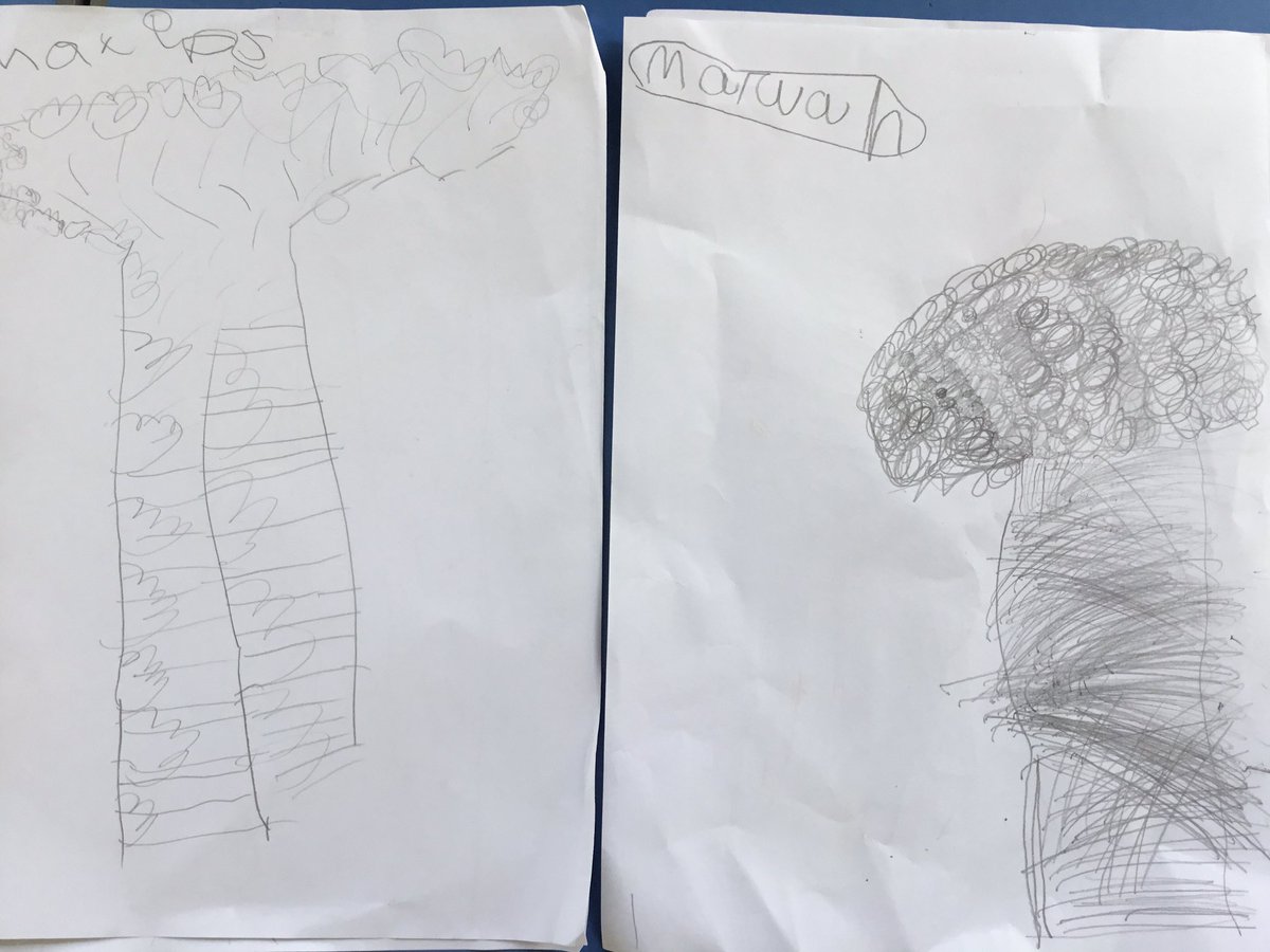 Springwood_Prm's tweet photo. Observational drawing in reception #springpowis #springcreative https://t.co/rcrvD6h1gp