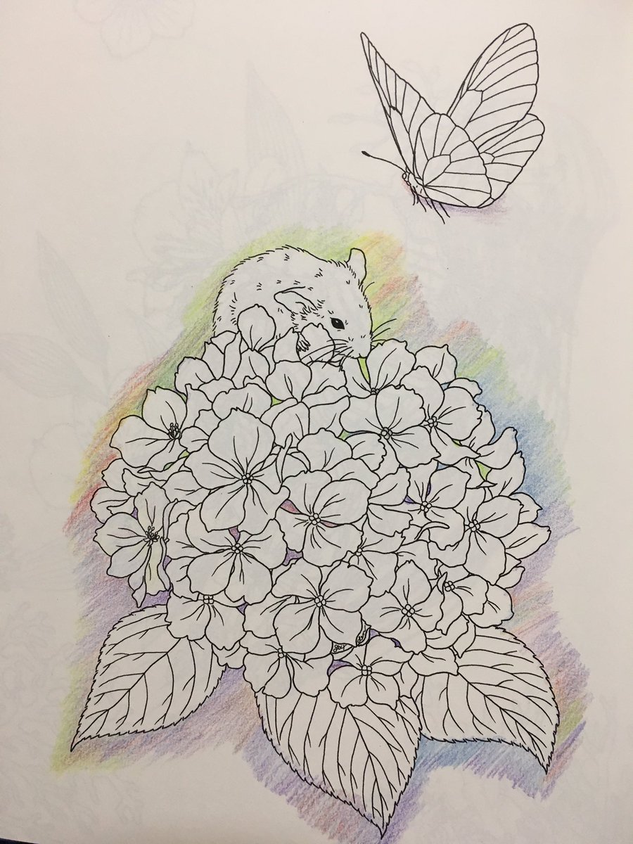 Coloringbook小鳥と花と動物のぬり絵