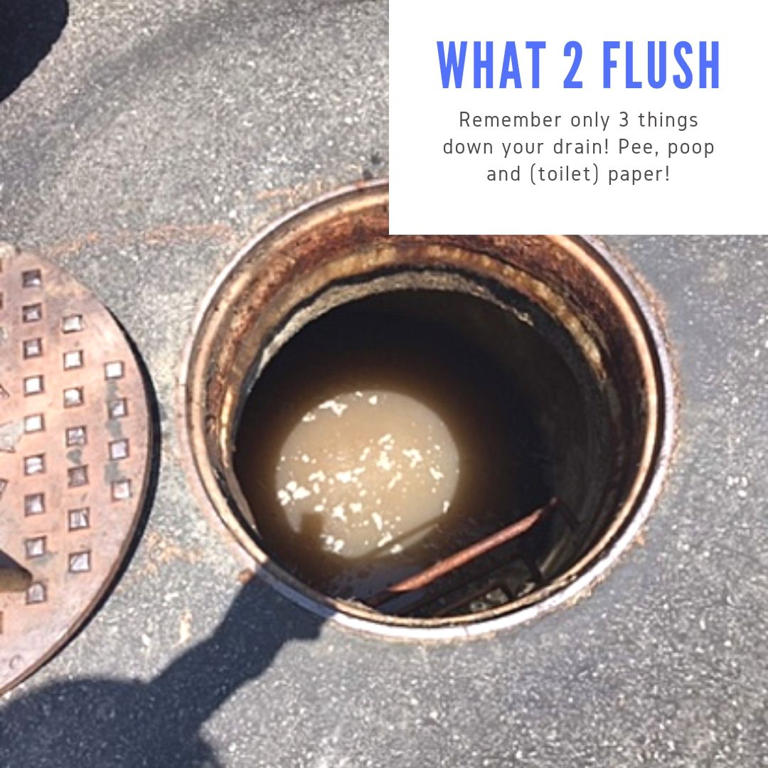 southcoastwater's tweet image. Our crew found this in lower Three Arch Bay. This manhole collects 75% of the neighborhood waste. The blockage was 50 ft down the manhole drop and was cleared using a high-pressure jetter nozzle avoiding a spill in a very sensitive area. #What2Flush #SCWD