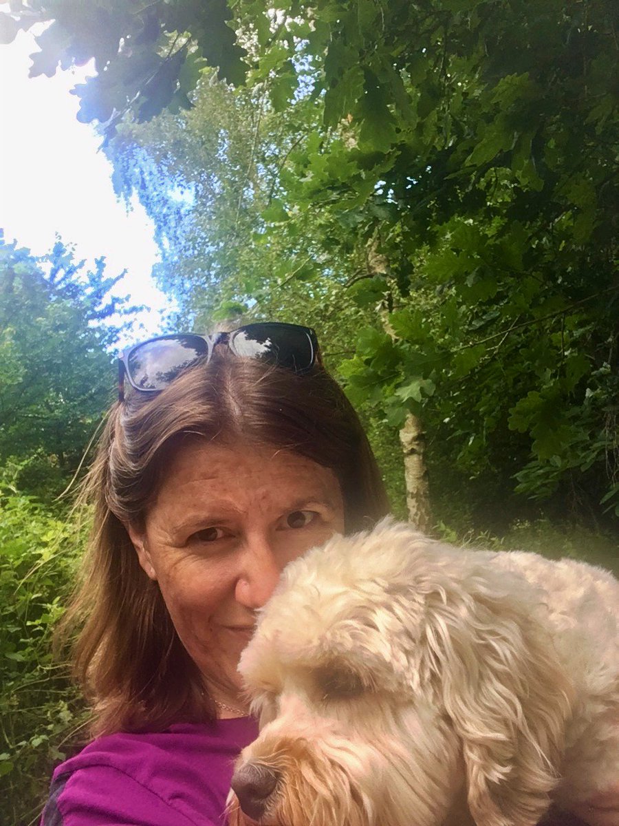 Caversham CV Writing tweet media