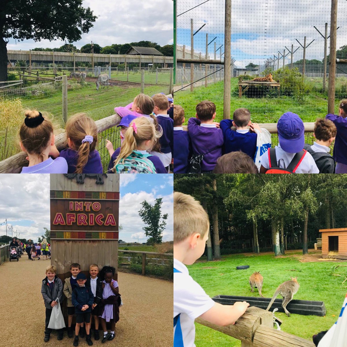 Year 1 are having lots of fun exploring @YorkshireWP 🐅 🦁 🦓 🦘#IntoAfrica  #MakingMemories