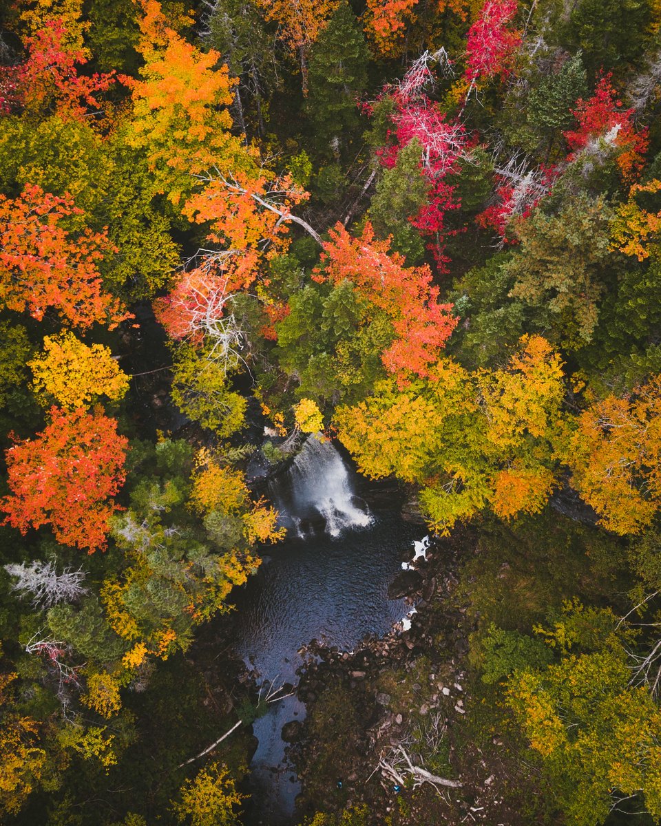 TourismCB's tweet photo. It’s #followfriday! This week we’re featuring Ashley MacDonald of @lifeofashmac! Ashley’s photos of #CapeBreton portray it's true natural beauty and are growing her following rapidly. https://t.co/QC5sEbphkt! #visitcapebreton #capebretonadventure #visitnovascotia #explorecanada https://t.co/yvlNyzQhwl
