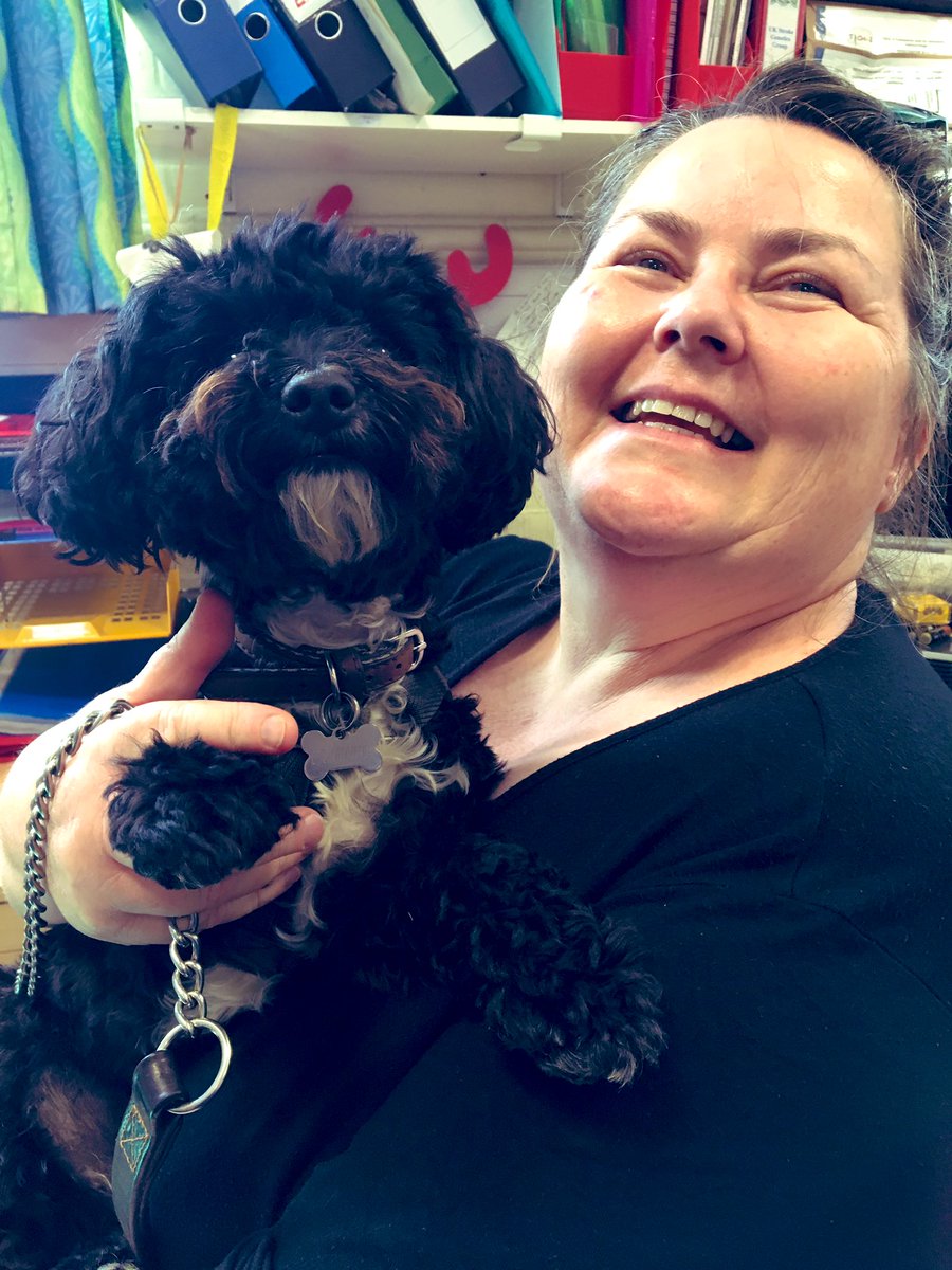 DCHFT_Research's tweet photo. It’s #BringYourDogToWorkDay so Sarah Horton our #Research Data Manager @DCHFT has popped in from Thornecombe woods with Bob.  We ❤️ Bob 😍 #GiveBobajob #BePartofResearch #TeamDCH #yochon https://t.co/Apl6sJvWhc