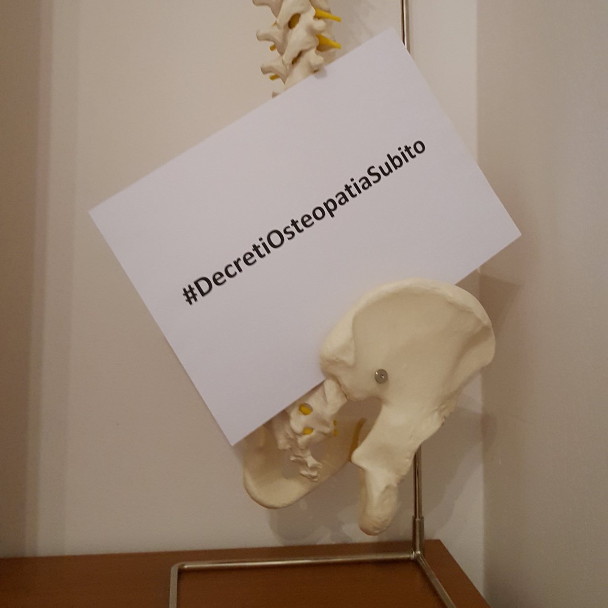 Chiediamo
#DecretiOsteopatiaSubito #osteopatiriconosciuti #NoIngerenze #NonSullaNostraPelle #Osteopatia per i #Cittadini 
<a href="/GiuliaGrilloM5S/">Giulia Grillo</a>
<a href="/luigidimaio/">Luigi Di Maio</a>
<a href="/matteosalvinimi/">Matteo Salvini</a>
<a href="/MinisteroSalute/">Ministero della Salute</a>
<a href="/fattoquotidiano/">Il Fatto Quotidiano</a>
<a href="/Corriere_Salute/">Corriere.it Salute</a>
<a href="/repubblica/">Repubblica</a>
<a href="/LaVeritaWeb/">La Verità</a> 
<a href="/Agenzia_Ansa/">Agenzia ANSA</a>
<a href="/ilfoglio_it/">Il Foglio</a>

Grazie