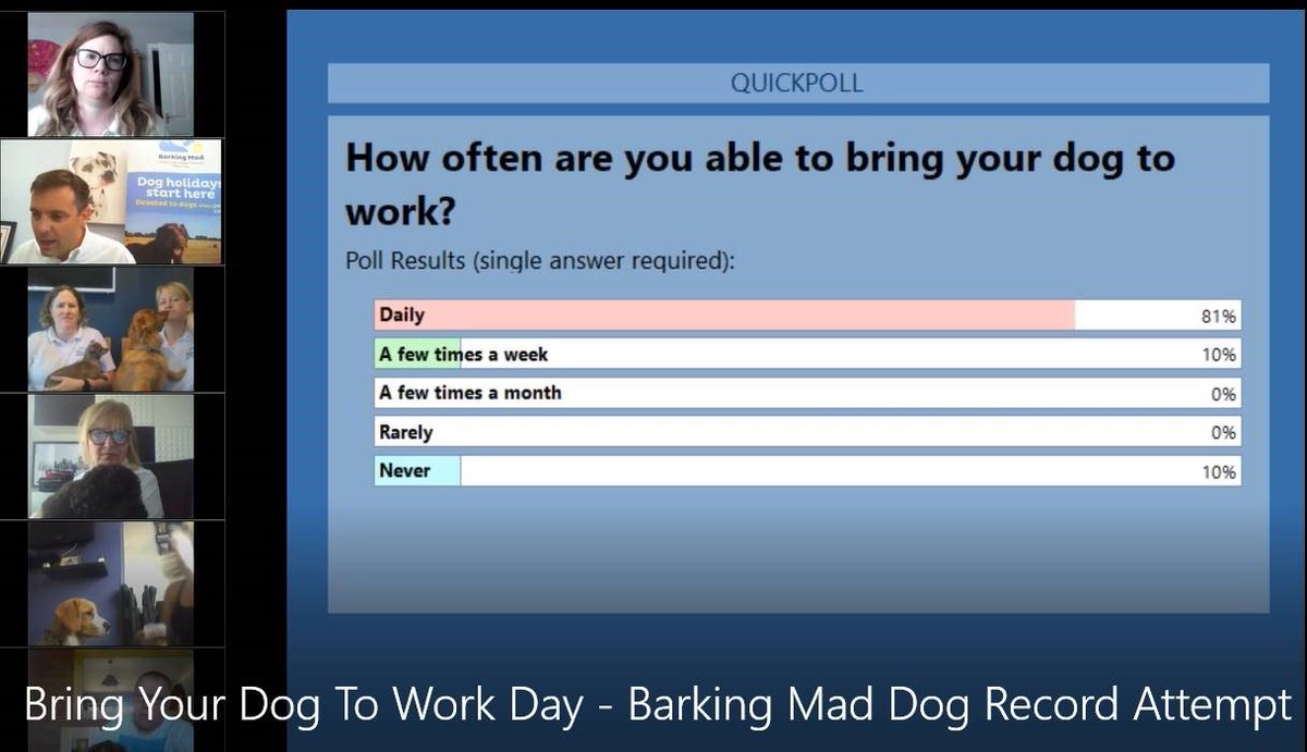 BarkingMadHQ's tweet photo. We did it!!!! A #BringYourDogToWorkDay woofing Webinar Barking Mad World Record :) We got 78 dogs on our live session - Watch here https://t.co/QjAzei7osq @BringDog2WorkUK #BYDTWD https://t.co/58qWRVkSUf