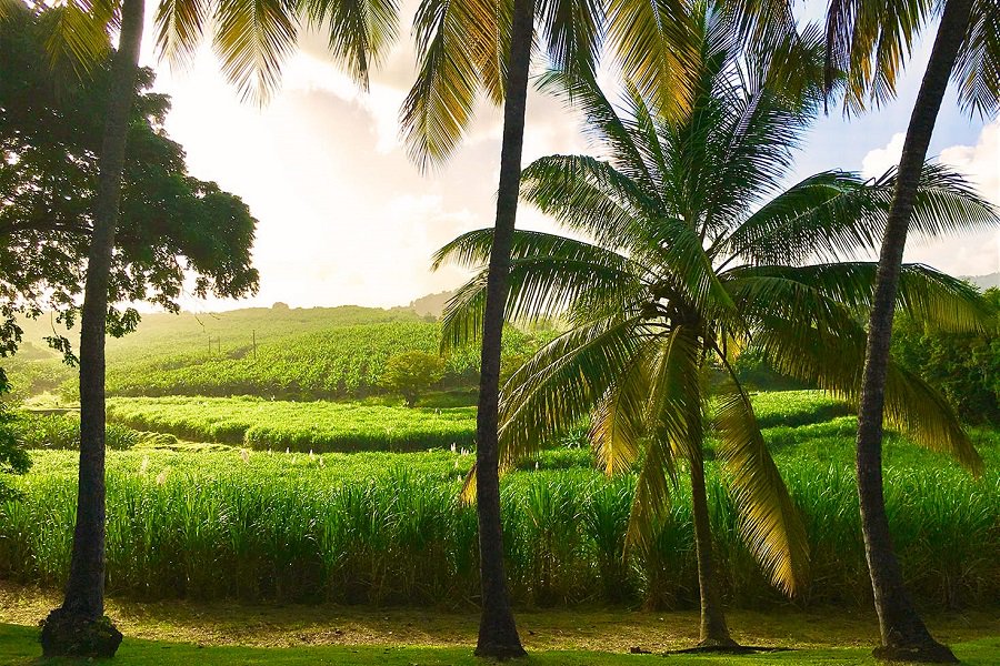 #Martinique een goedkoop alternatief voor de Malediven #Travel mannenafdeling.nl/martinique-een…