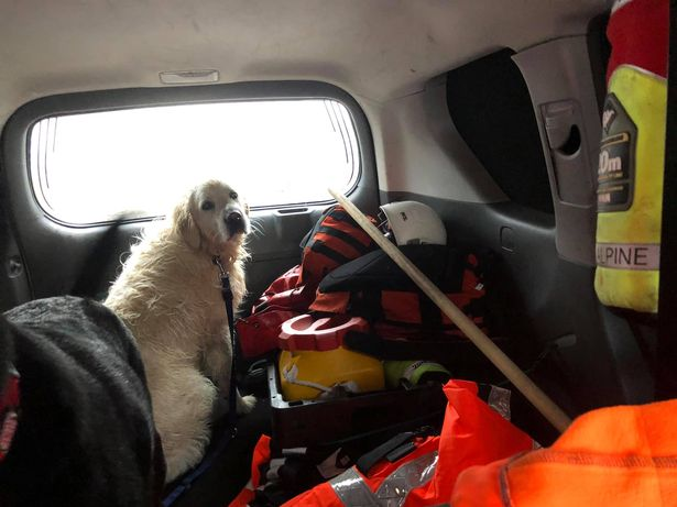 woofadvisor's tweet photo. Happy #BringYourDogToWorkDay 🐶

High Tech Dog Rescue
Dog rescued by Coast Guard after spending over an hour chasing seal in #DunLaoghaire Harbour

PS High Tech = Loud voice command, and Tennis Balls!

#PetsAtWork #OfficeDog #PetTravel #WoofAdvisor #bydtwd
https://t.co/6Ou1v81E8p https://t.co/6iaFbXXwhO