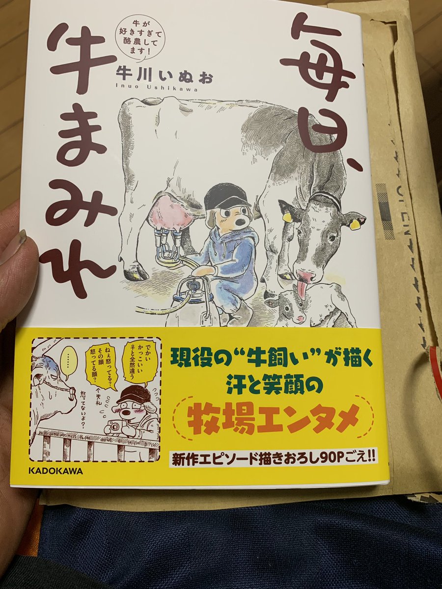 美しい花の画像 無料ダウンロードかっこいい リアル 牛 イラスト