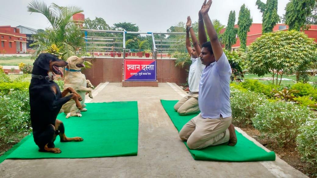 PiyushGoyalOffc's tweet image. #InternationalDayOfYoga के अवसर पर दानापुर में आज Railway Protection Force द्वारा योग कार्यक्रम आयोजित किया गया, जिसमे RPF डॉग स्क्वाड ने भी बढ़ चढ़ कर हिस्सा लिया।