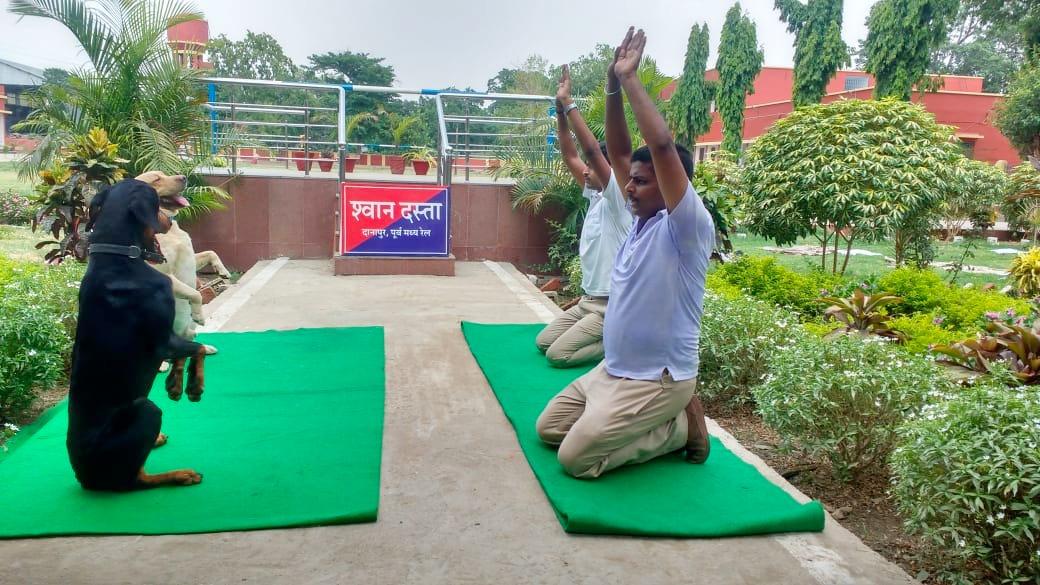 PiyushGoyalOffc's tweet image. #InternationalDayOfYoga के अवसर पर दानापुर में आज Railway Protection Force द्वारा योग कार्यक्रम आयोजित किया गया, जिसमे RPF डॉग स्क्वाड ने भी बढ़ चढ़ कर हिस्सा लिया।