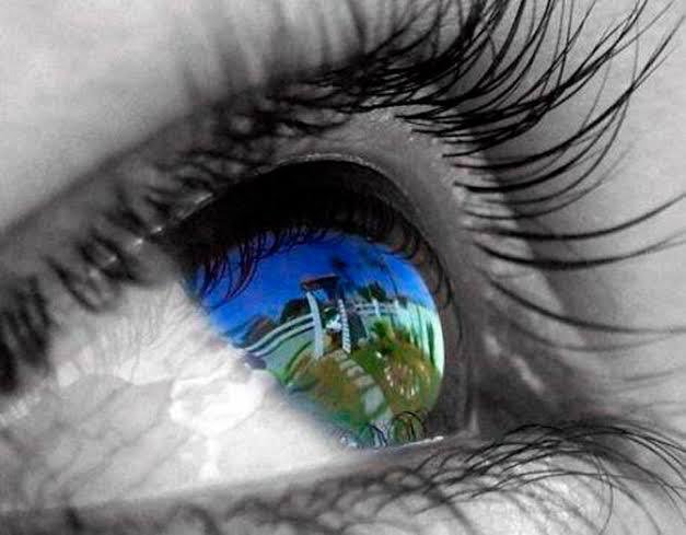 raqueloxricarte's tweet photo. O líder se conhece desde logo. Tem nos olhos um brilho que reflete perspicácia, disposição para a ação e senso de urgência. I Sm 16:12 #PrimeiroDeus #RPSP https://t.co/cbklviBdP6