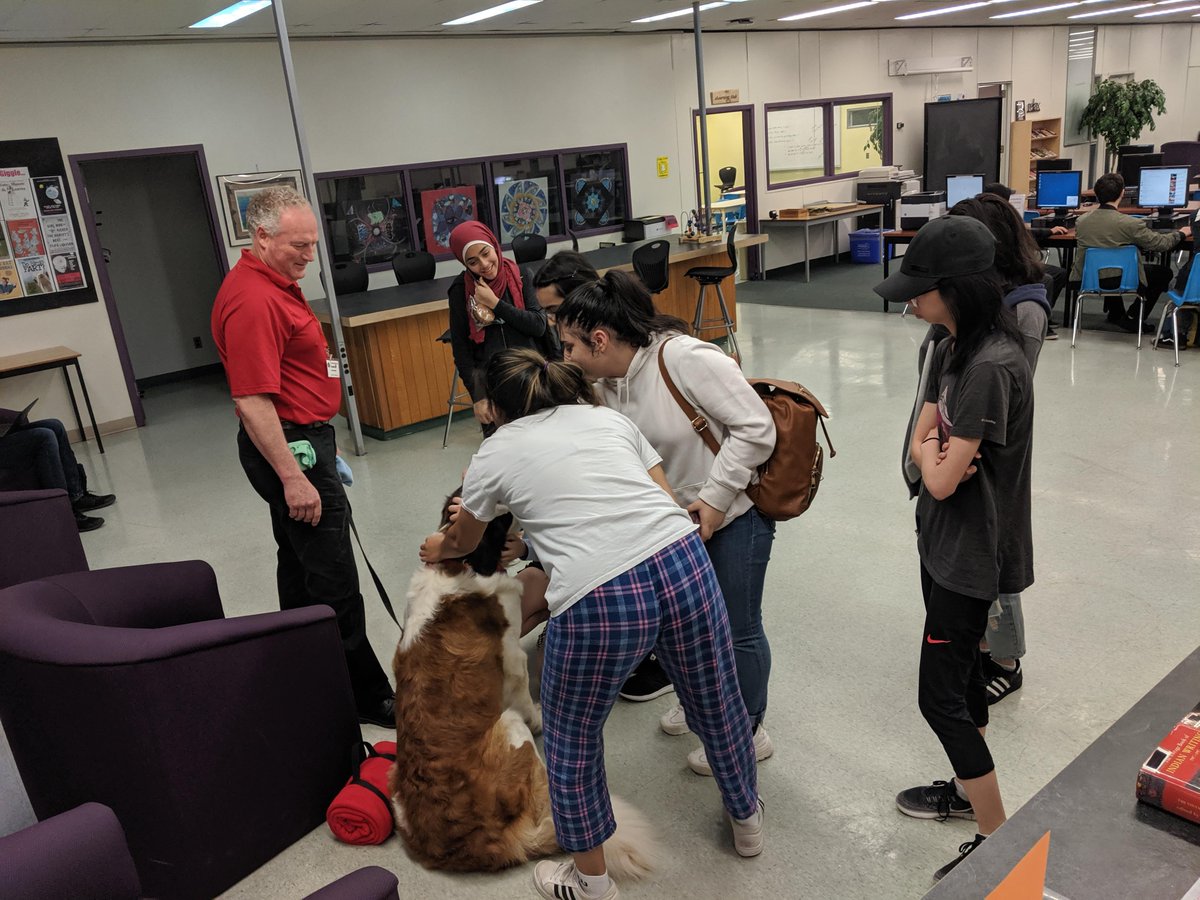 BatemanLibrary's tweet photo. Need to de-stress before your exam? Come by the library in the morning and meet Schatzi! #barkbreak https://t.co/zAOvqysjeI