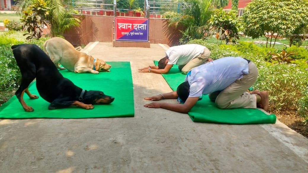 PiyushGoyalOffc's tweet image. #InternationalDayOfYoga के अवसर पर दानापुर में आज Railway Protection Force द्वारा योग कार्यक्रम आयोजित किया गया, जिसमे RPF डॉग स्क्वाड ने भी बढ़ चढ़ कर हिस्सा लिया।