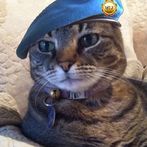 NancyCakeFace tweet media