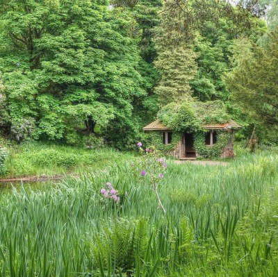 HeySilverbeet's tweet photo. Weekly Greens ✅ https://t.co/E28nxqUcvj