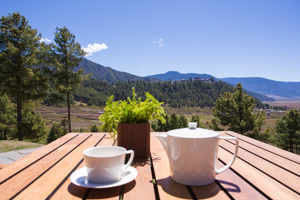 bhutantourplan's tweet photo. There is nothing better than having a cup of tea after hiking 💙 ☕️🇧🇹🌞💙

Enjoy beautiful view of Phobjikha valley in the sun, nothing could be better!

#bhutan #bhutanpelyab #phobjikhavalley https://t.co/tb3qs7t1Mt