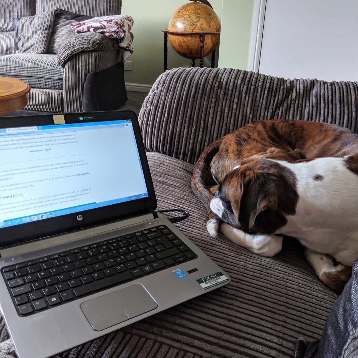 AbbottJuicy's tweet photo. #nationaltakeyourdogtoworkday however Iโm having a #BringMyHoomanHomeToWorkDay ๐โค๏ธ #TigerBill #workingfromhome #boxeradventures #bromocrew #boxersofinstagram #boxergram #dogslife https://t.co/L8EVFoYkQC