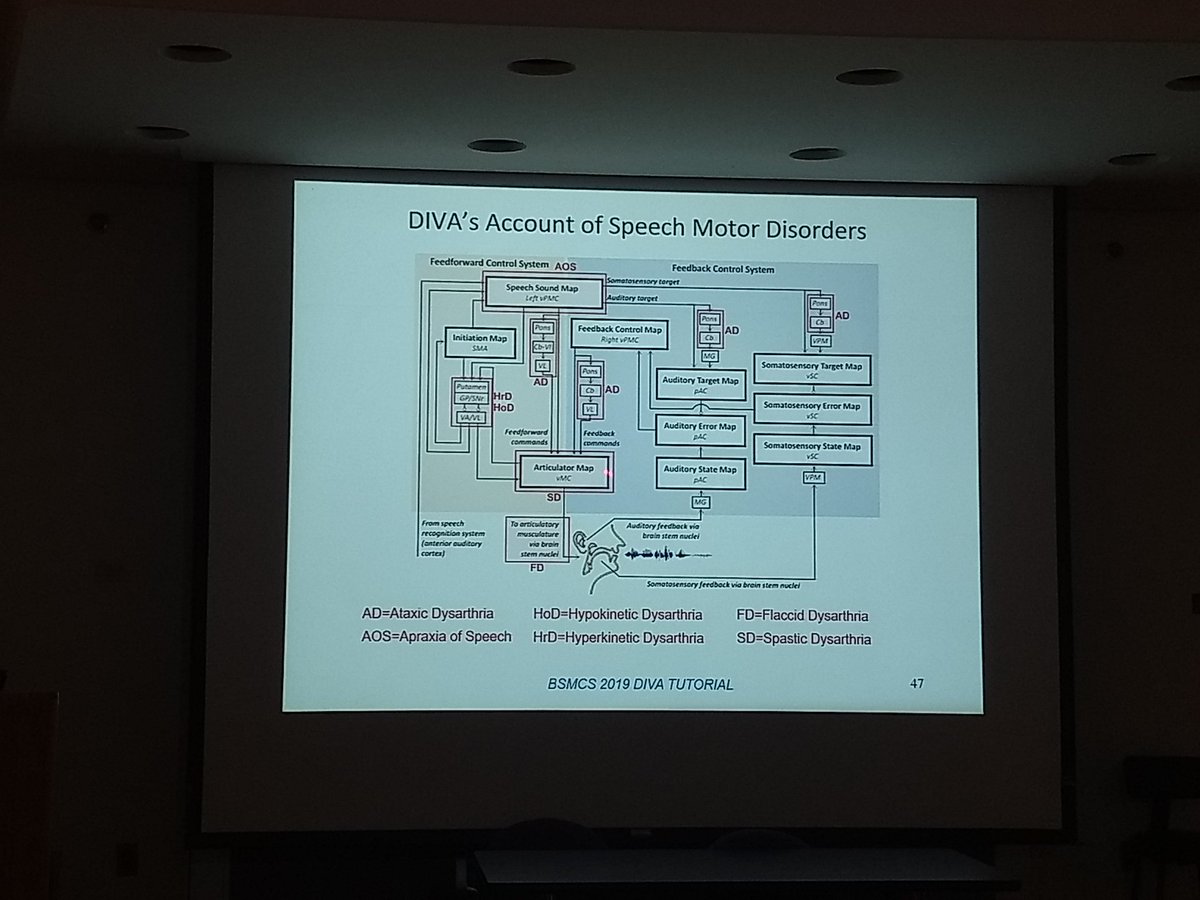 Hasinirw's tweet image. Intriguing pre-conference workshop on DIVA by Professor Frank Guenther yesterday at #2019BSMCS @GuentherLab DIVA&apos;s account of speech motor Disorders #ParkinsonsDisease