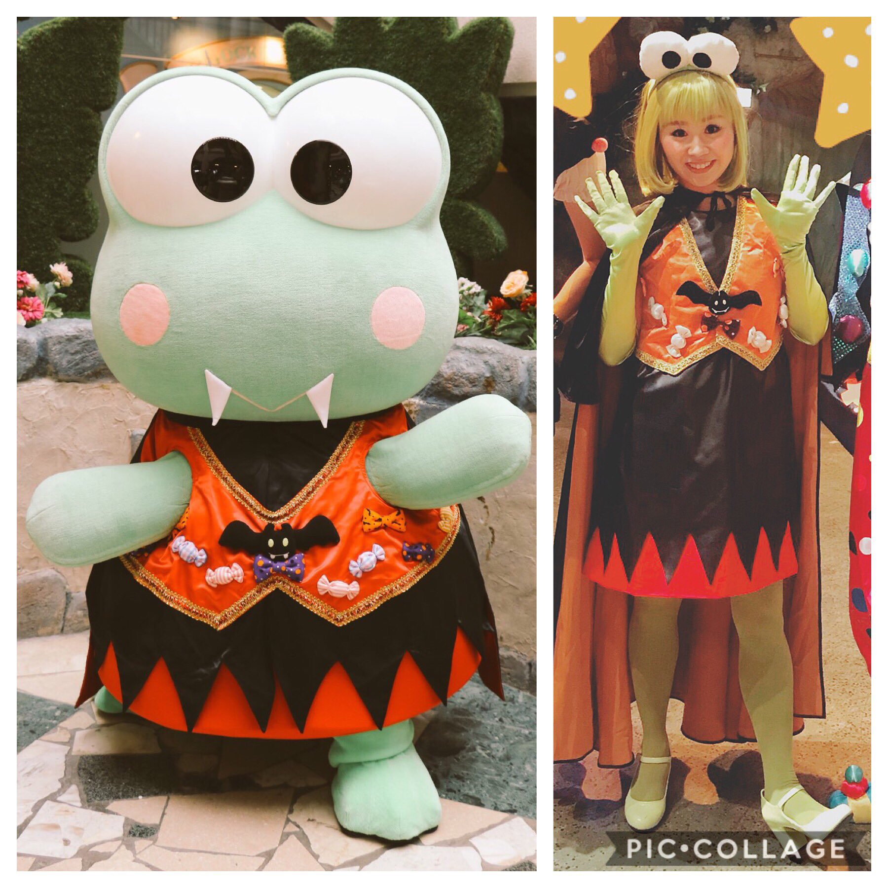 ひろっぴ.+*:ﾟ (@kerokero_hippi) / X