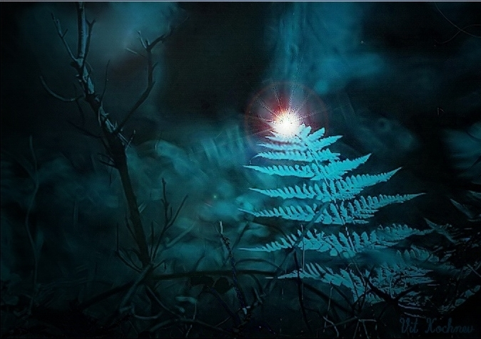 _ko_mon's tweet photo. the flower of a fern is a mythical flower that brings the finder great power over the forces of nature, wealth and happiness. According to Slavic beliefs, the fern blooms for only one moment, it is very difficult to find and pick a flower.
#Fernflower #fairytale #found https://t.co/gRl4H0jmHj