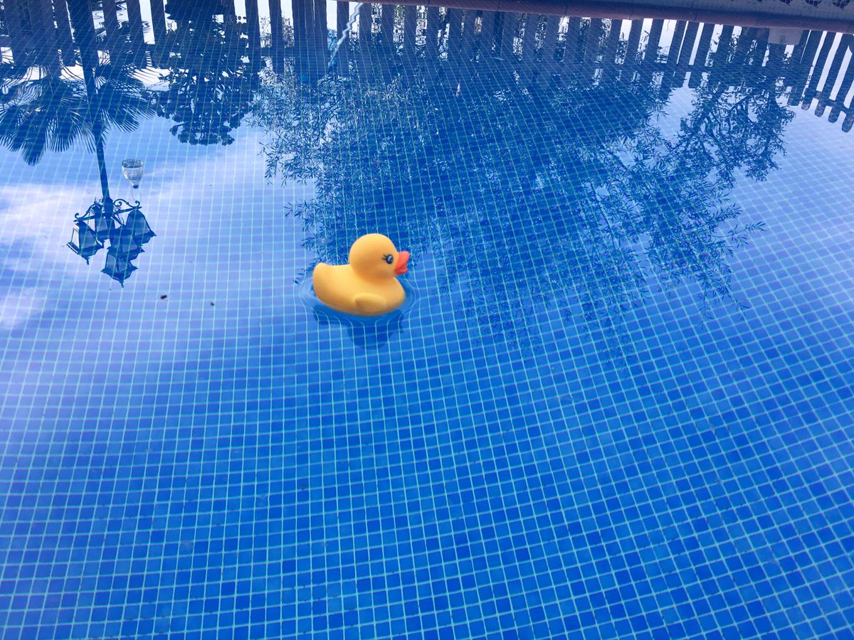 patodelbaix's tweet photo. Arriba un nou estiu i seguim sense piscina🏊🏻‍♀ pública a #SantBoi. Però ara segur que la faran, l'alcaldessa ho va prometre en campanya! 🤔
#MalamenteCuacCuac
#ÀnecAMés
#PatoDelBaix 🦆 https://t.co/qcnb6vhhgm