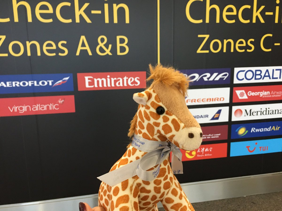 GerrygoesGlobal's tweet photo. Happy #WorldGiraffeDay to all my fellow friends across the world. It’s great to see so many of you on your travels https://t.co/aFQeMJRCLl
