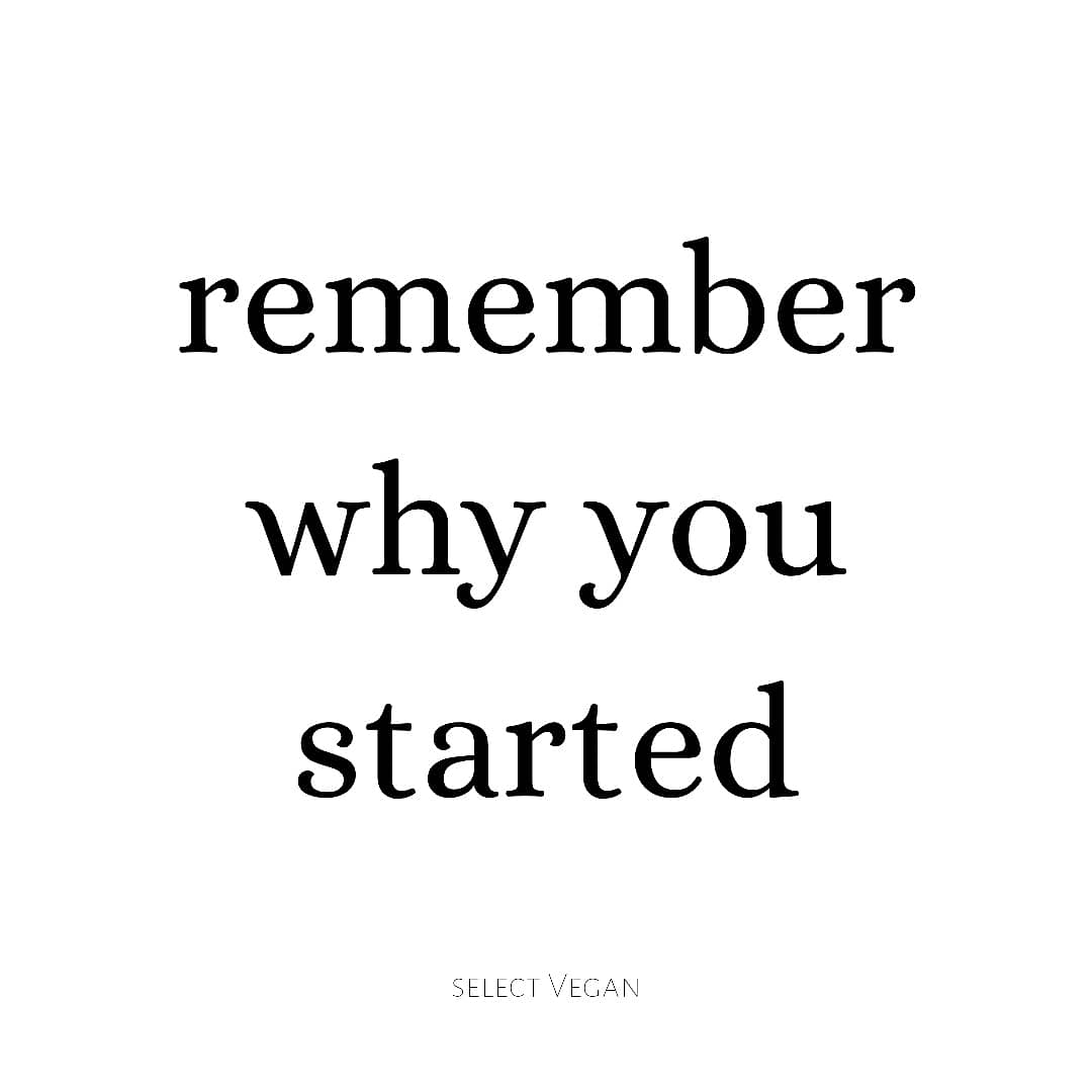 SelectVegan's tweet image. Remember why you started. What was it you aspired to achieve? What gave you the idea or inspiration to start your business?
•
Remember
•
Good. Don't forget it.
•
It's easy to let the stress get to you and take on too much. Take a step back and think about why you started.
