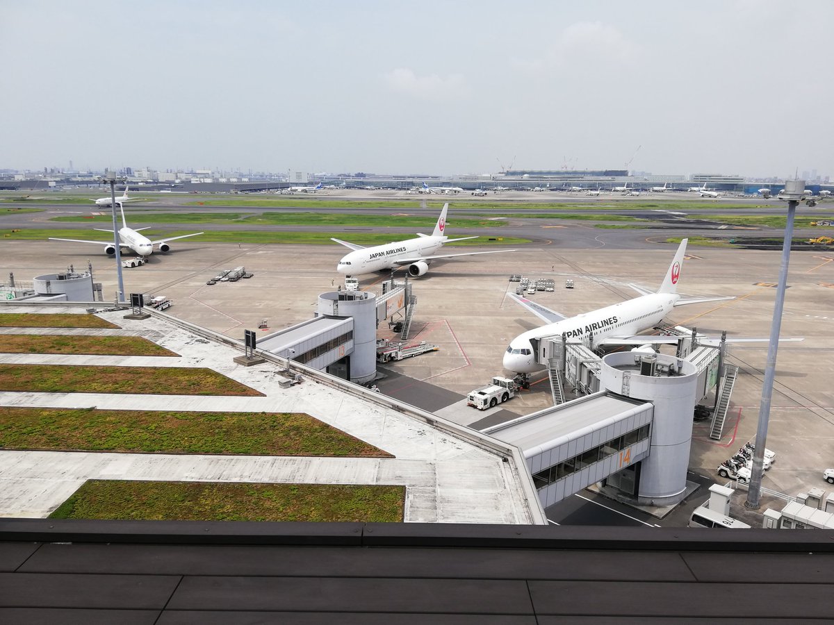 未来のパイロット Become A Pilot Twitter