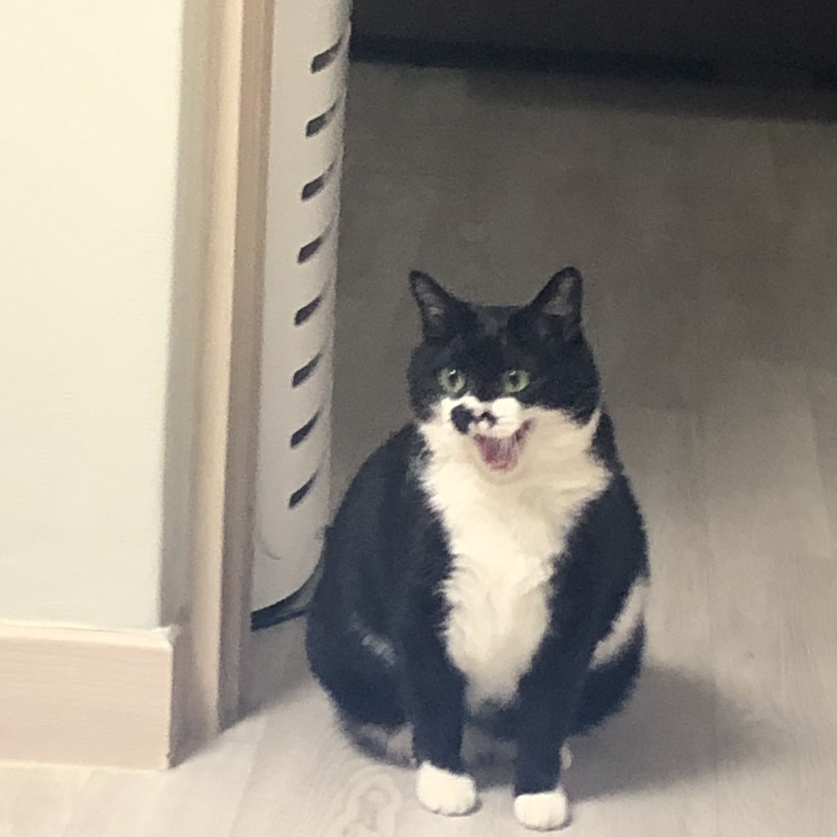 널                                      미ㅡ워해야만하는거니 ~~~