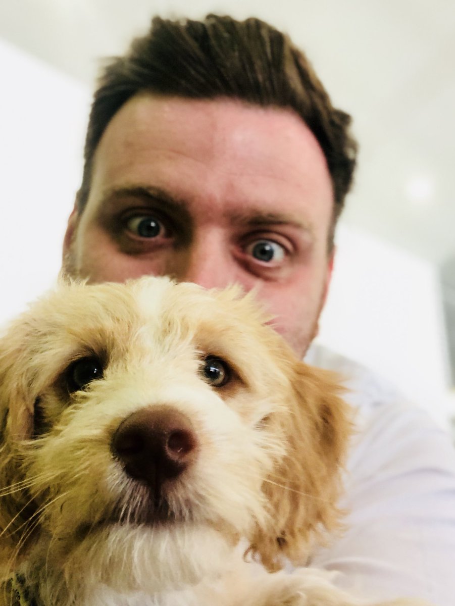 joshwilldrake's tweet photo. #Puppy overload today! #FriYay https://t.co/fHQ7oebjLW