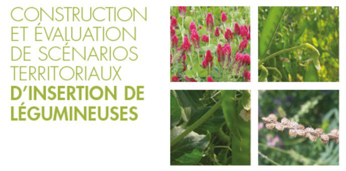 INRAE_Tlse's tweet photo. [#Agroécologie] Insérer les #légumineuses dans les systèmes agricoles, c'est possible!  Nos chercheurs &amp; acteurs de terrain ont étudié &amp; construit plusieurs scénarios.
✅Approches &amp; collaborations à différentes échelles! 

A lire 🔜 https://t.co/7e8EDd1XnP 
@AgenceRecherche https://t.co/lAkMjyYLyP