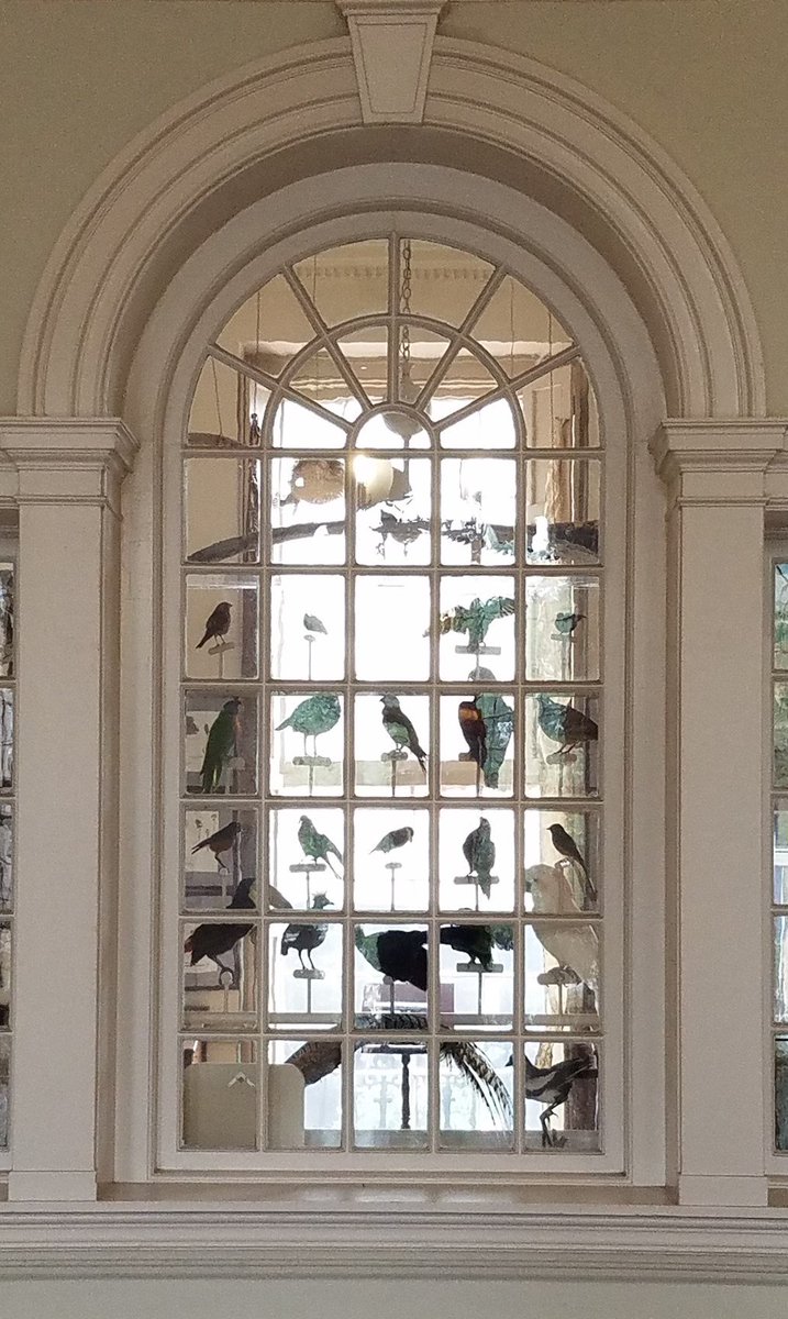 Crosskey Architects tweet media