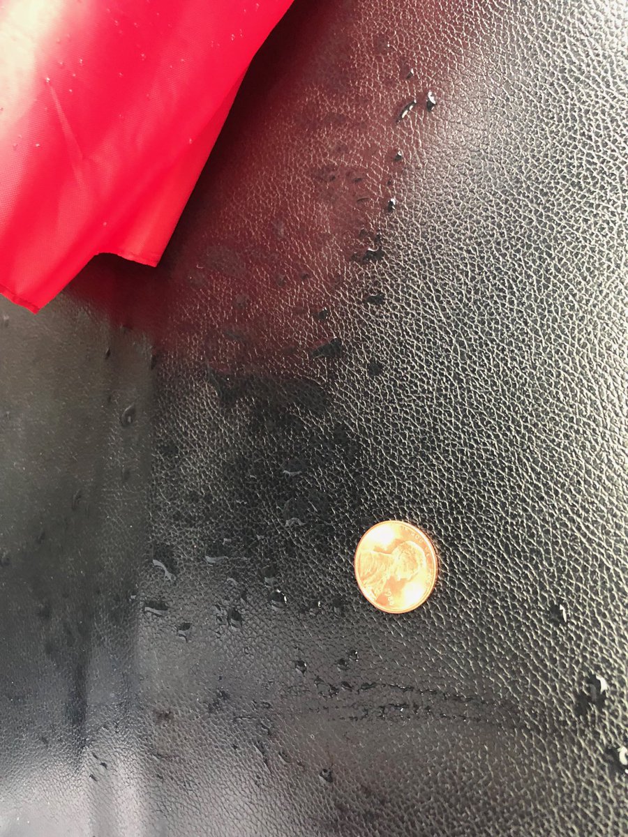 shengsterman's tweet photo. Lucky heads up penny found in NYC cab. Maybe it will stop raining? Maybe it will be the best day ever? I am optimistic. #GoodLuckFriday ☘️ https://t.co/uhN0hRBtKj