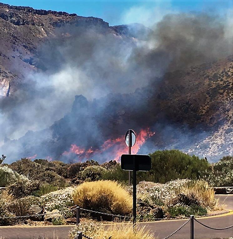 mirametvcom's tweet photo. 🔴🔥 #IFTeide | Se ha cortado la vía TF-21 en el Punto Kilométrico 43 (Teleférico del Teide) hasta el Punto Kilométrico 53 (cruce de Chío) por el conato de #incendio ⚠@pnteide https://t.co/9e3XMt0EwI
