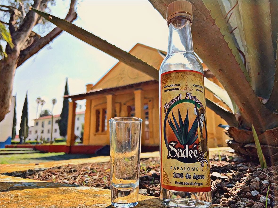 MezcalSadee's tweet photo. #mezcal #sadee https://t.co/1M2xvPs0b8