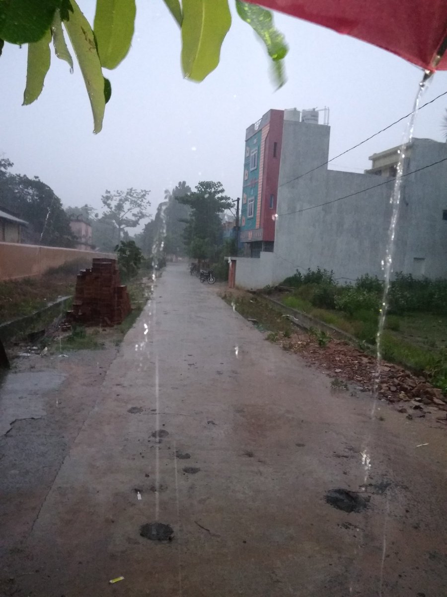 VAdkri's tweet photo. When monsoon hits to your home town and you can't stop yourself to take  #firstmonsoon pics. https://t.co/kN611FkVGe
