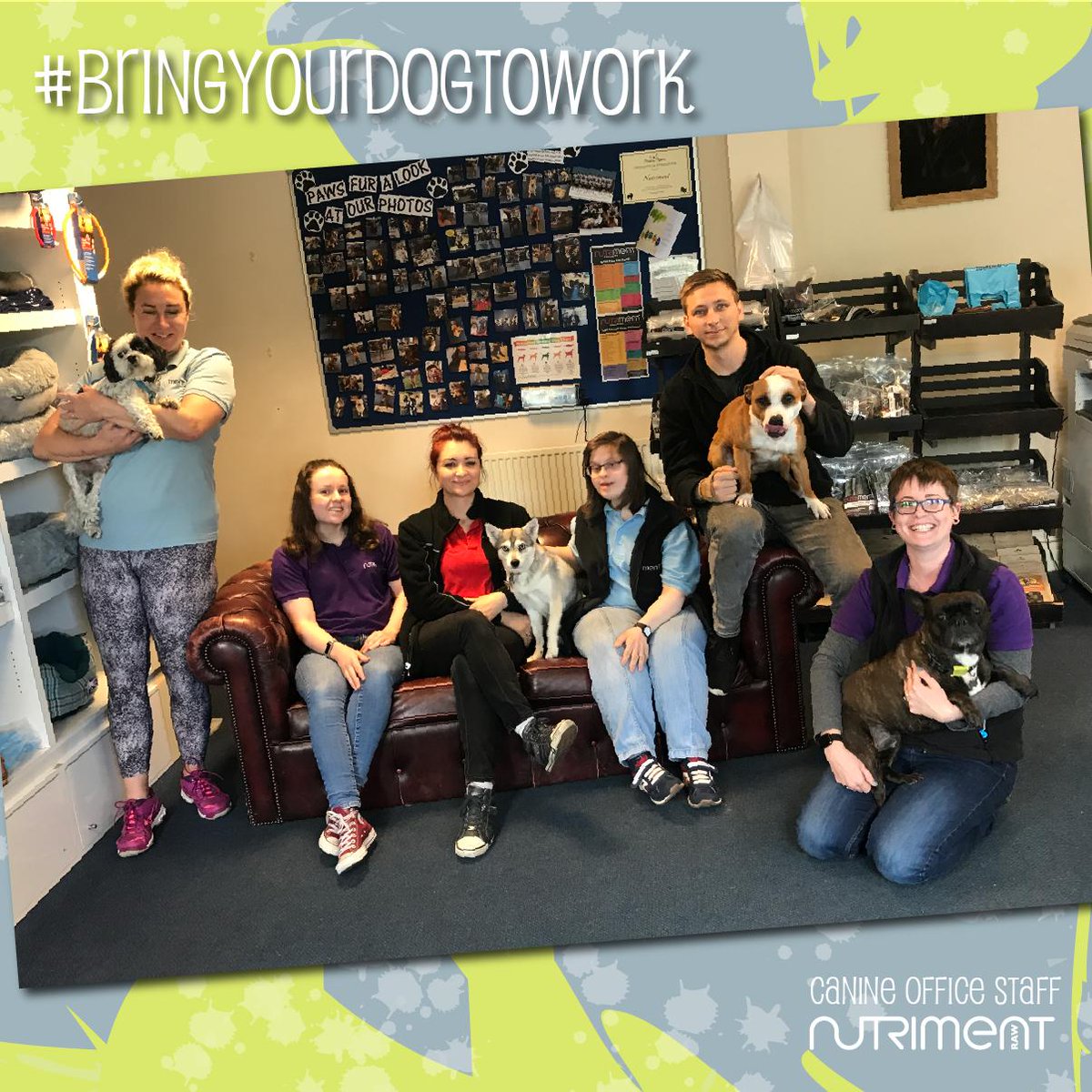 #BringYourDogToWork Day!!!

Please meet some of our "office" dogs - as regular canine cuddles during work is a must! ❤️ #DogsofTwitter #officedog
