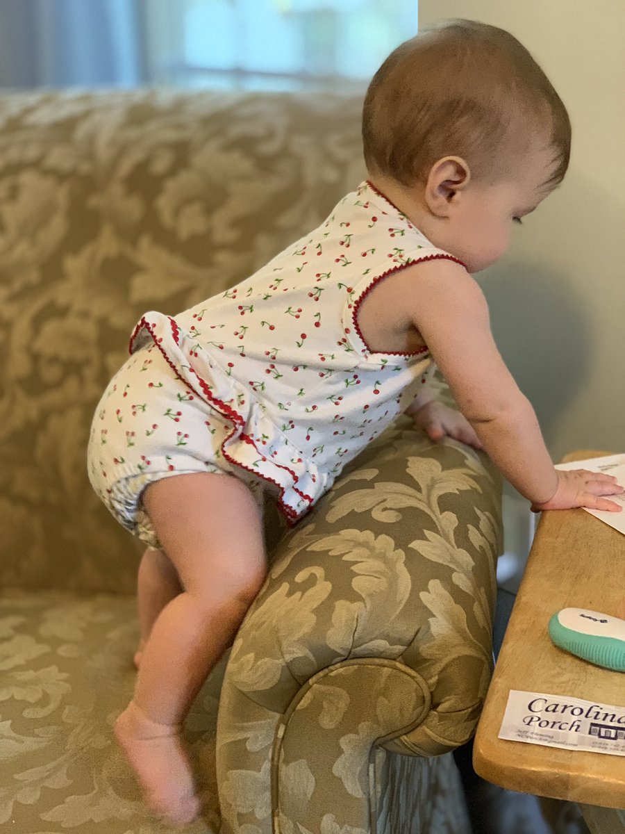 ransvoice's tweet photo. Well, folks...the chair photos have taken a turn. From seated to standing and getting into things before I could snap a clear shot. #WinterIsHere #DaddyTried #TheRans #Wintham https://t.co/FkTSwjCCdB