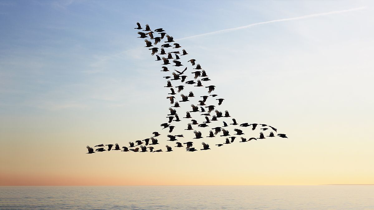 rachelfeferman's tweet image. Scaling Culture in Fast-Growing Companies buff.ly/31zDVNU