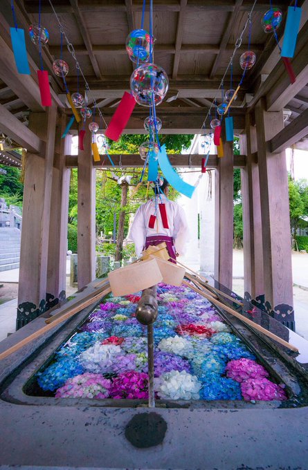 超絕夢幻和風 福岡春日神社 手水舎的紫陽花 日本集合 Line Today